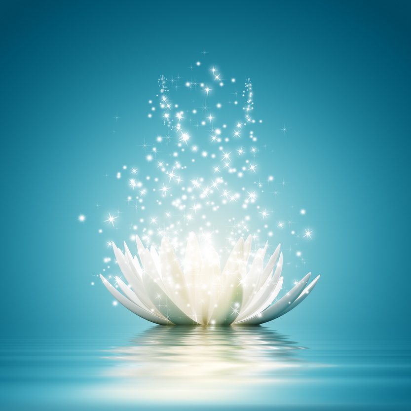 Magic Lotus flower